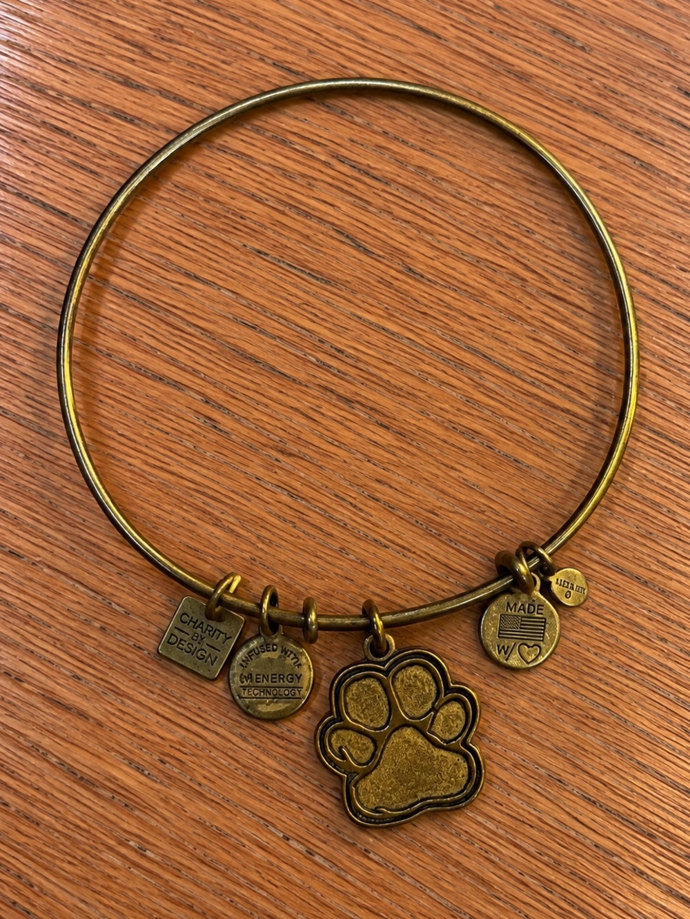 ALEX AND ANI 2014 Prints of Love Paw Print Bangle